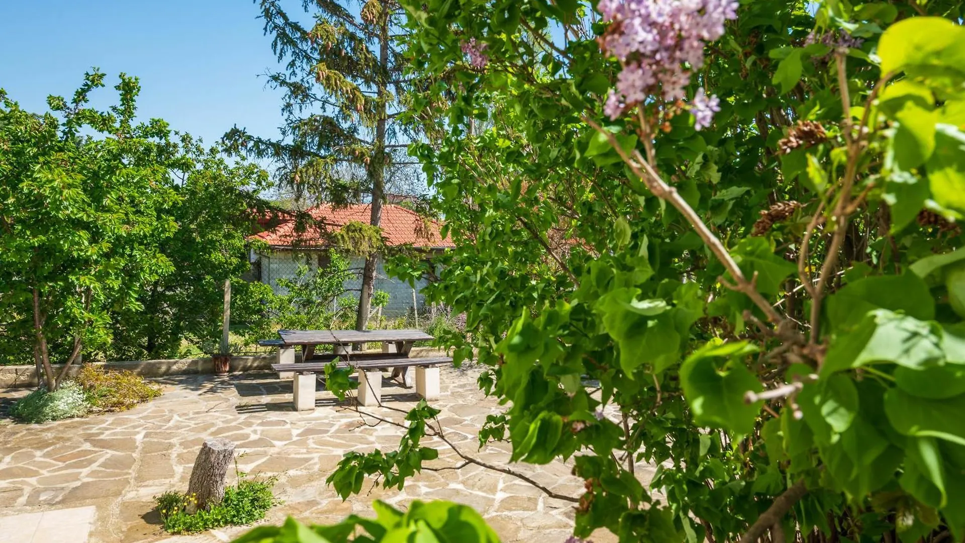 Family Hotel Perla Złote Piaski 2*,  Bułgaria